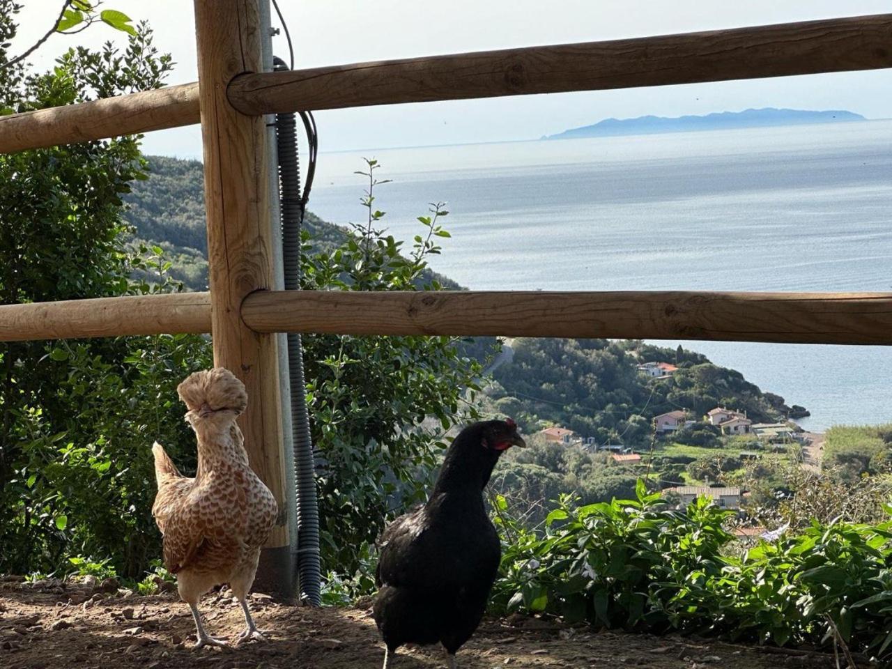 Rio dellʼElba Agriturismo Paradisa מראה חיצוני תמונה
