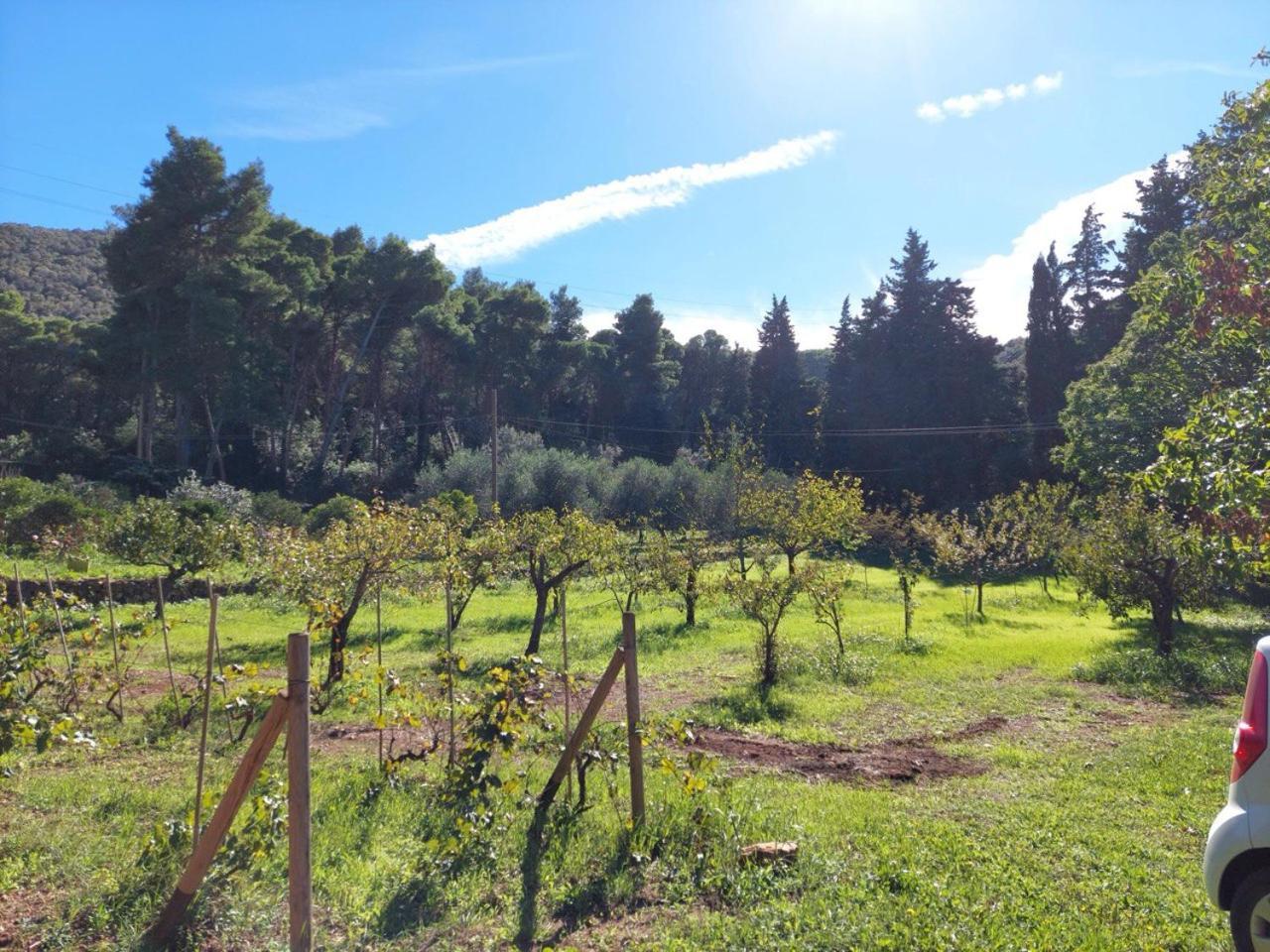 Rio dellʼElba Agriturismo Paradisa מראה חיצוני תמונה