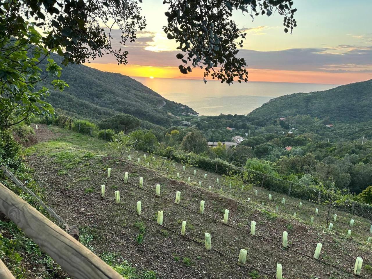 Rio dellʼElba Agriturismo Paradisa מראה חיצוני תמונה